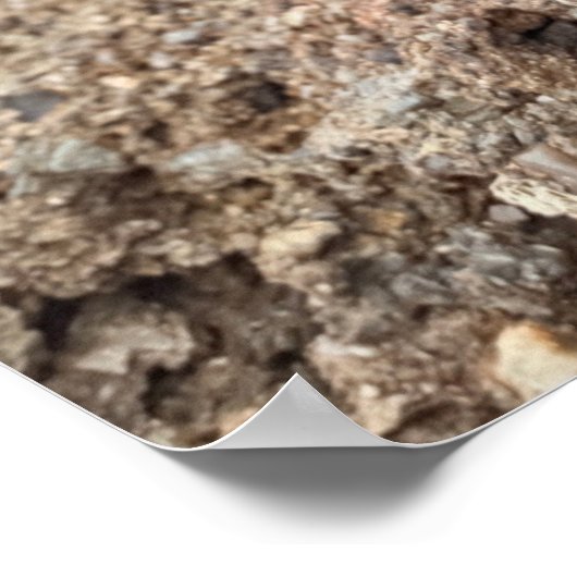 PINK TOY POODLE AT THE BEACH ポスター (角)