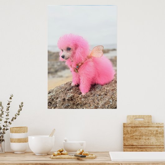 PINK TOY POODLE AT THE BEACH ポスター (キッチン)