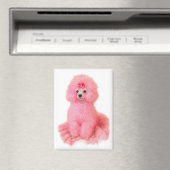 pink toy poodle magnet, pink poodle, refrigerator マグネット (インサイチュ (食洗機))