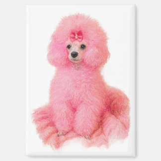 pink toy poodle magnet, pink poodle, refrigerator マグネット
