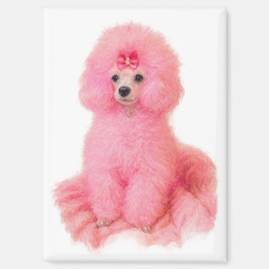 pink toy poodle magnet, pink poodle, refrigerator マグネット (正面)