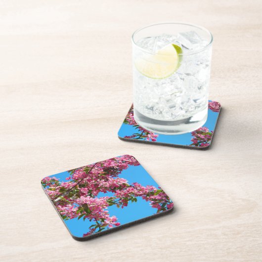 Pink Tree Blossom and Blue Sky Photo コースター (右側)