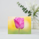 Pink Tulip Floral Art Print ポストカード (スタンド正面)