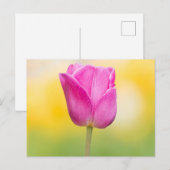 Pink Tulip Floral Art Print ポストカード (正面/裏面)