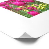 Pink Tulip Garden Floral Photographic ポスター (角)