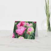 Pink Tulips Blank Note Cards サンキューカード (正面)