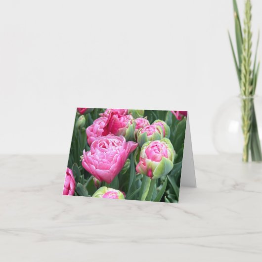 Pink Tulips Blank Note Cards サンキューカード (正面)