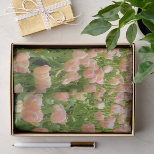 Pink Tulips in Spring Tissue Paper 薄葉紙 (ギフト)