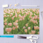 Pink Tulips in Spring Tissue Paper 薄葉紙 (クラフト)