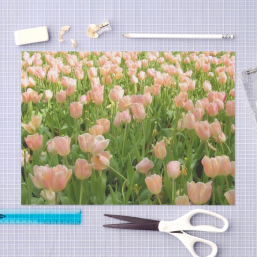 Pink Tulips in Spring Tissue Paper 薄葉紙 (クラフト)