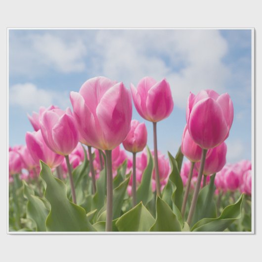 Pink Tulips Wrapping Paper  ラッピングペーパー (フラット)