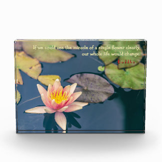 Pink Water Lily and Buddha Quote フォトブロック