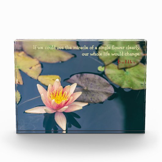 Pink Water Lily and Buddha Quote フォトブロック (正面)