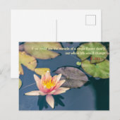 Pink Water Lily and Buddha Quote ポストカード (正面/裏面)