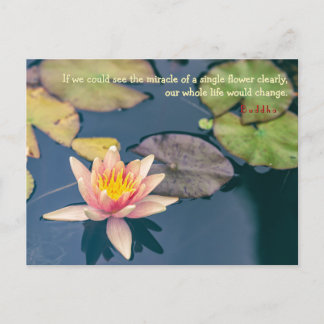 Pink Water Lily and Buddha Quote ポストカード
