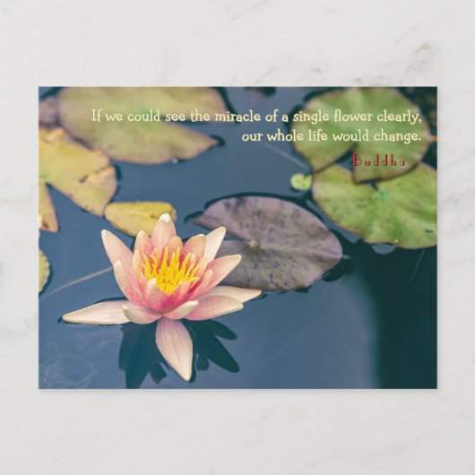 Pink Water Lily and Buddha Quote ポストカード (正面)