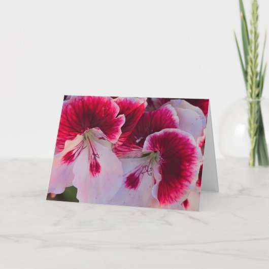 Pink & White Flowers Blank Notecard カード (正面)