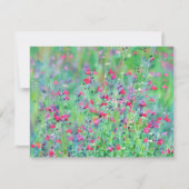 Pink Wildflower Salvia Flower Art Note Card Set ノートカード (正面)