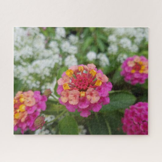 Pink Yellow and White Flowers in the Garden ジグソーパズル (横)