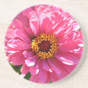 Pink Zinnia コースター