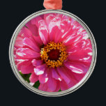 Pink Zinnia メタルオーナメント<br><div class="desc">pretty pink zinnia</div>