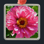 Pink Zinnia メタルオーナメント<br><div class="desc">pretty pink zinnia</div>