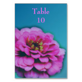 Pink Zinnia Flower Wedding  テーブルナンバー (裏面)