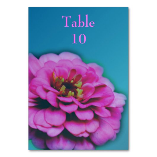 Pink Zinnia Flower Wedding  テーブルナンバー (正面)