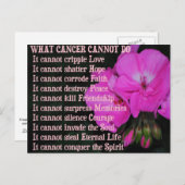 PinkGeraniumフラワーポストカードができないもの ポストカード (正面/裏面)