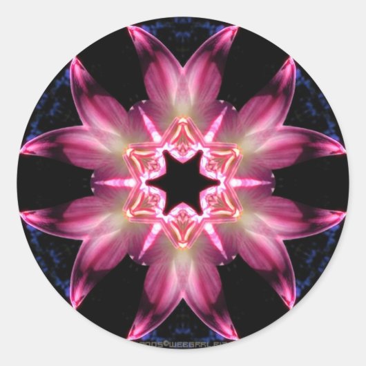 PinkLaWシール ラウンドシール (正面)