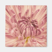 PinkPartles1_5x7etsy マグネット (正面)