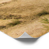 Pinnacles Overlook, Badlands国立公園， SD ポスター (角)