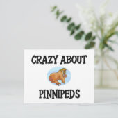 Pinnipate熱狂するについて ポストカード (スタンド正面)