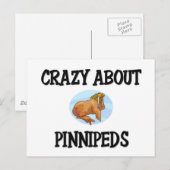 Pinnipate熱狂するについて ポストカード (正面/裏面)