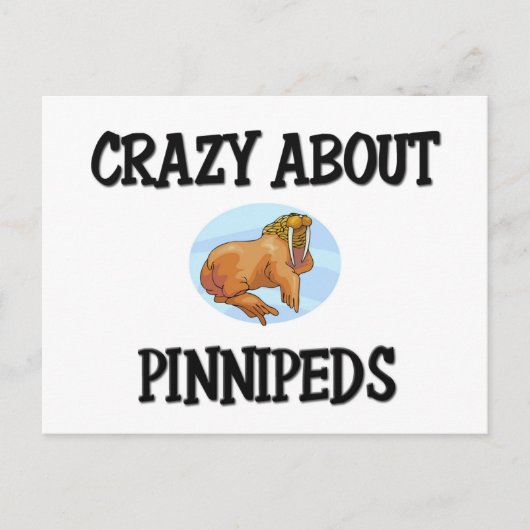 Pinnipate熱狂するについて ポストカード (正面)
