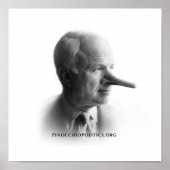 Pinocchio Poster ポスター (正面)