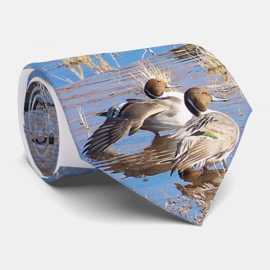 Pintailのアヒルのタイ ネクタイ (ロール)