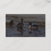 Pintailのアヒルの組 名刺 (裏面)