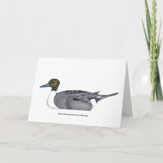 Pintail Duck Greeting Card, by David Ivan Strombeg カード