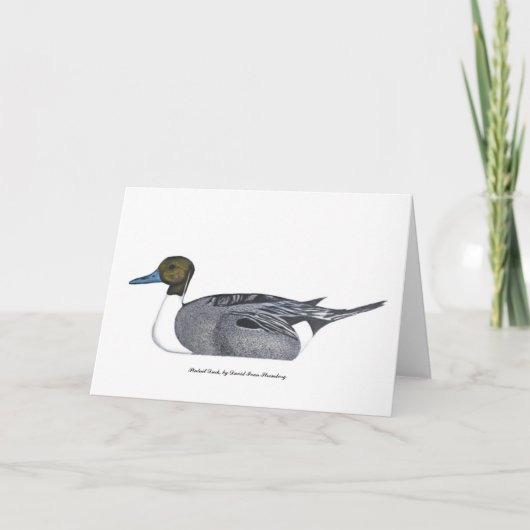 Pintail Duck Greeting Card, by David Ivan Strombeg カード (正面)