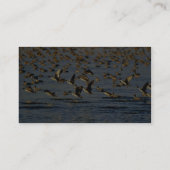 Pintails 名刺 (裏面)