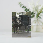 Pinto Amish Horse and Buggy ポストカード (スタンド正面)