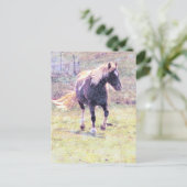 Pinto Pony ポストカード (スタンド正面)