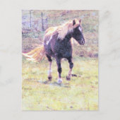 Pinto Pony ポストカード (正面)