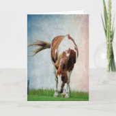 Pintopferd、Alles Gute Zum Geburtstag カード (正面)