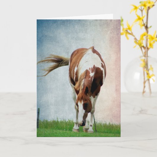 Pintopferd、Alles Gute Zum Geburtstag カード (黄色い花)