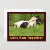 Pintosポストカードのペア ポストカード (正面/裏面)