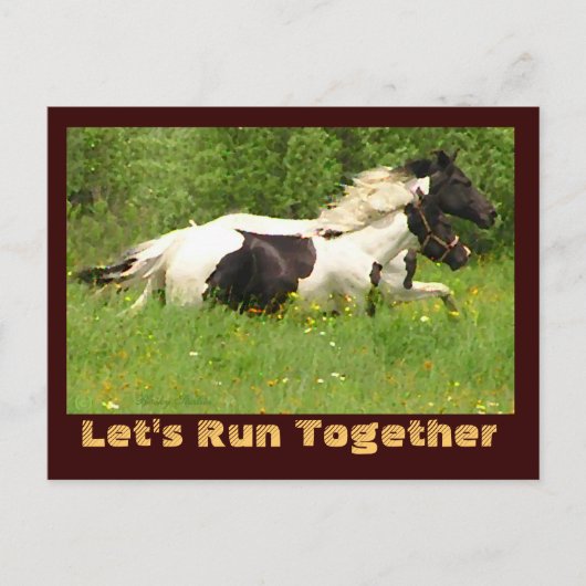 Pintosポストカードのペア ポストカード (正面)