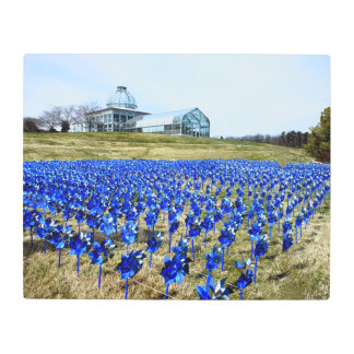 Pinwheels Garden LGBG Richmond VA メタルプリント