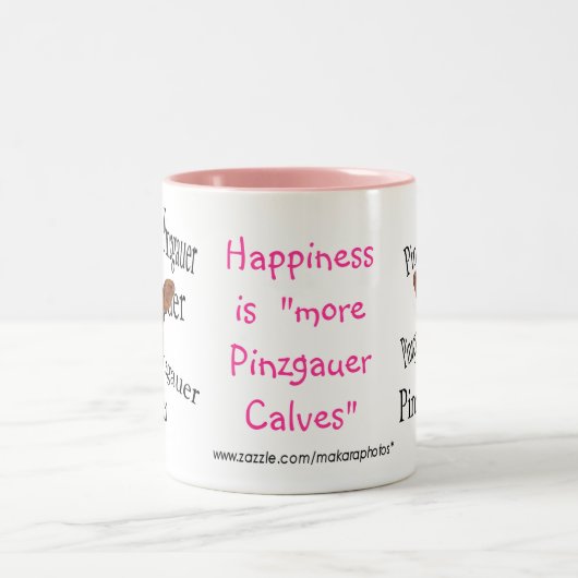 PinzDBマグCustomizeq ツートーンマグカップ (中央)